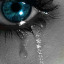 dead-silent-cry
