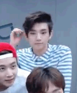 kittykatbeyonce:zjongin