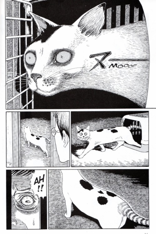 wellnotwisely:Junji It’s Cat Diary: Yon and Mu has finally been released in English, so I wrote abou