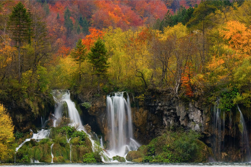a-precis:  nubbsgalore:  the interconnected and cascading lakes and waterfalls of croatia’s plitvice national park. photos by (click pic) maurizio biancarelli, lee duguid, dominik kirner, sinisa klekovic and andrea pozzi  GUYS, IVE BEEN HERE