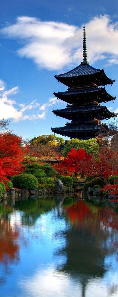 zekkei-beautiful-scenery:  Japan 日本の絶景 Zekkei Beautiful Breathtaking Scenery
