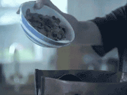 the-absolute-best-posts:  awesomephilia: i hate it when i accidentally pour cereal into my purse  