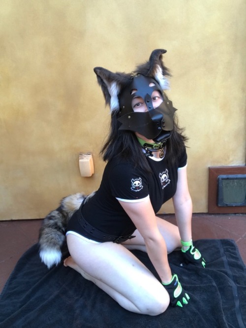 fizzgig-69: ✨ I’m a puppy girl, in a puppy woooorld~! ✨ It’s been such a long time since