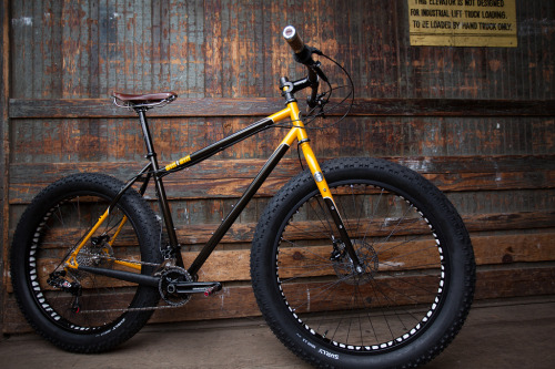 bisikleta:  Local Fatty (by Rudy Malmquist)