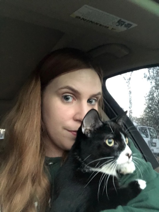 Cooper getting ready to drive! (He obviously goes in his carrier when the car is moving, he just wanted to look around before we left)