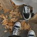 loutaycat:lovers 🍂