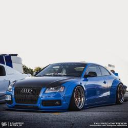 stancenation:  Fan Appreciation Weekend •