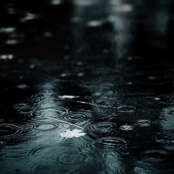 smellof-rain:    Let the rain kiss you    