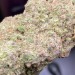 restingbluntface:Hells Fire, indica
