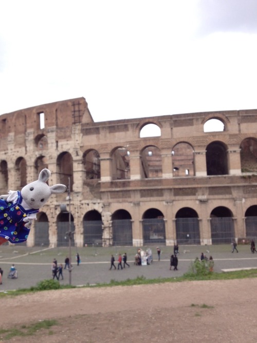 Today we visited The Colosseum in Rome. Michelle the rabbit was a bit wary of lions.