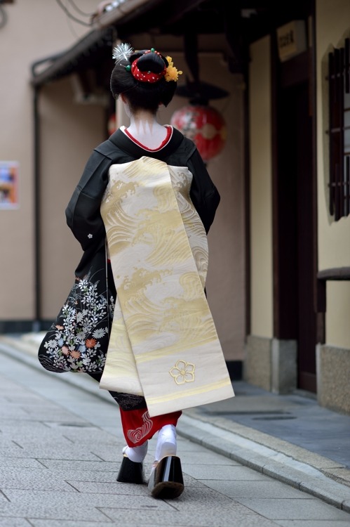 geisha-kai:  Hassaku 2014: maiko Mameroku dressed in crested black kimono, gold obi and black laquer