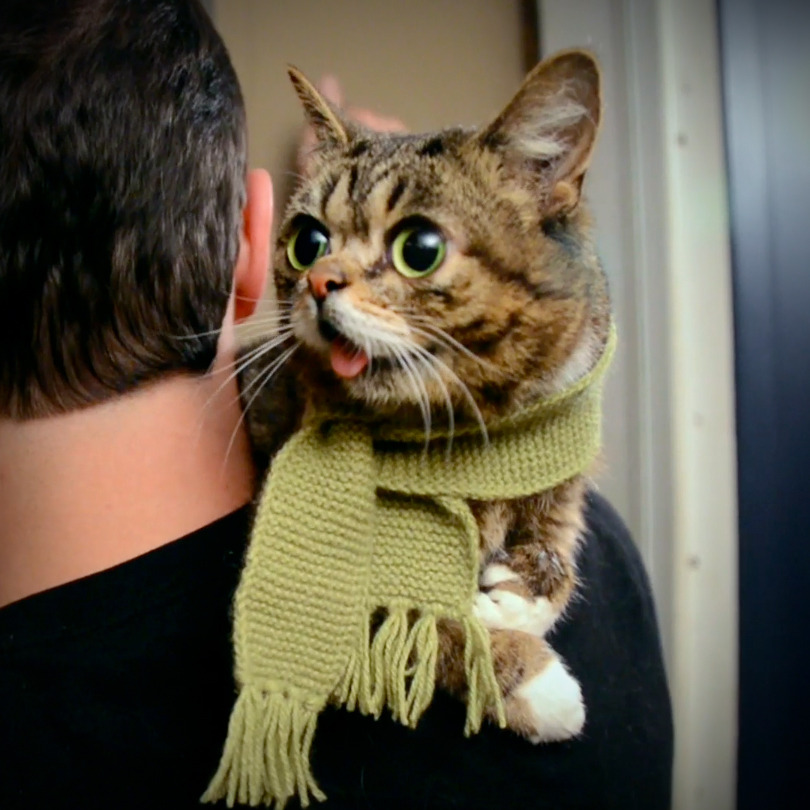 bublog:  I am thankful for BUB.BUB is thankful for you.You and your family can be