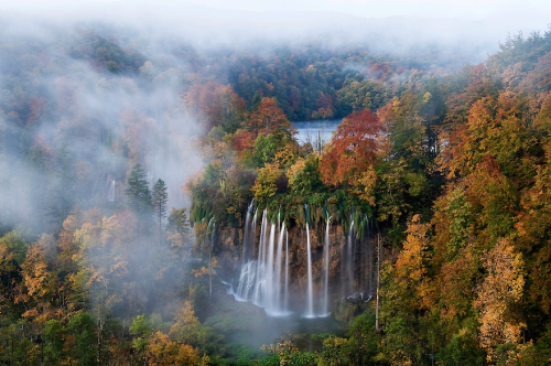 a-precis:  nubbsgalore:  the interconnected and cascading lakes and waterfalls of croatia’s plitvice national park. photos by (click pic) maurizio biancarelli, lee duguid, dominik kirner, sinisa klekovic and andrea pozzi  GUYS, IVE BEEN HERE