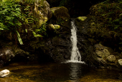 little secret waterfall | instagram 