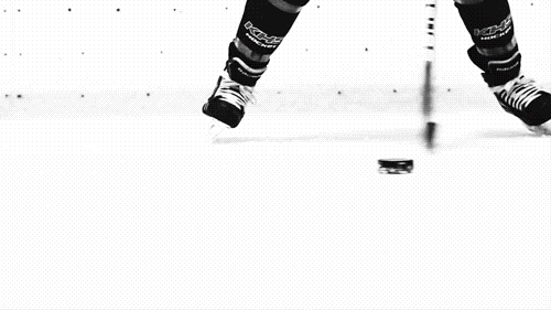 hockey love