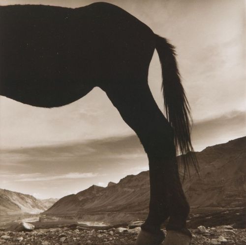 Max Pam.  Beginning of the Hindu Kush in the distance with camels running in front of a sandstorm, 1