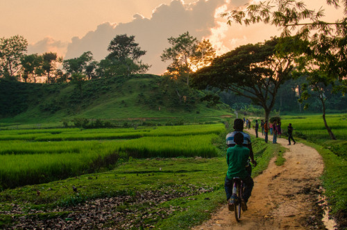 5starkutti: abidish: The Sylhet Division of Bangladesh is considered one of the most beautiful corn