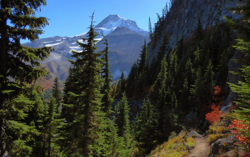 Magical views appear as one approaches Elk Cove by kepPNW