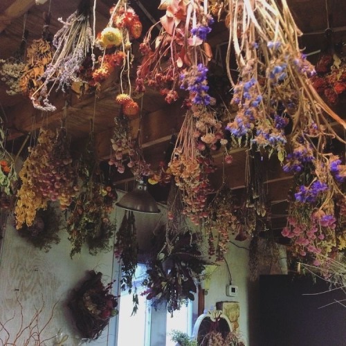 .witches Alters.