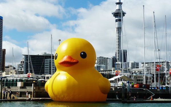 artnet:
“ A giant rubber duck designed by Dutch artist Florentijn Hofman has disappeared amid heavy storms in China’s southwestern Guiyang City
”