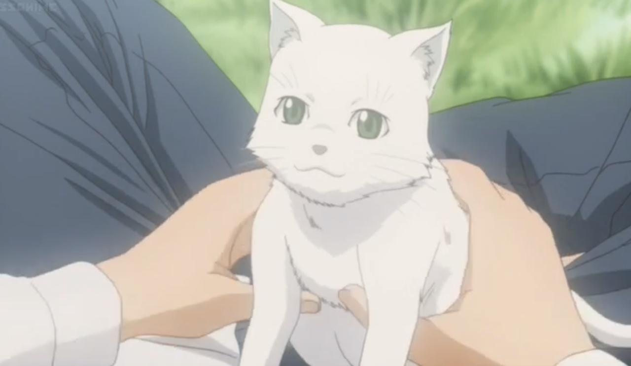 White cat anime hires stock photography and images  Alamy