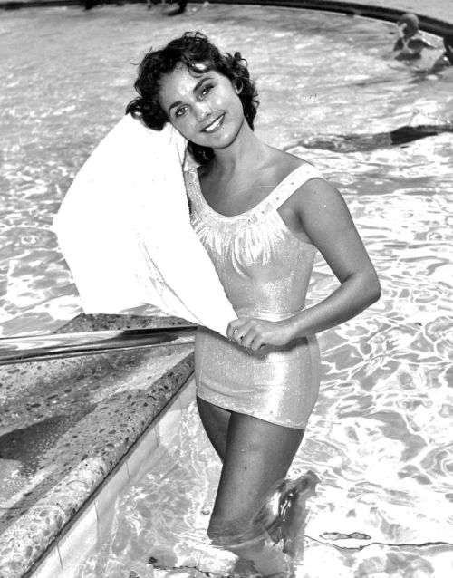 Dawn Wells Nudes & Noises  