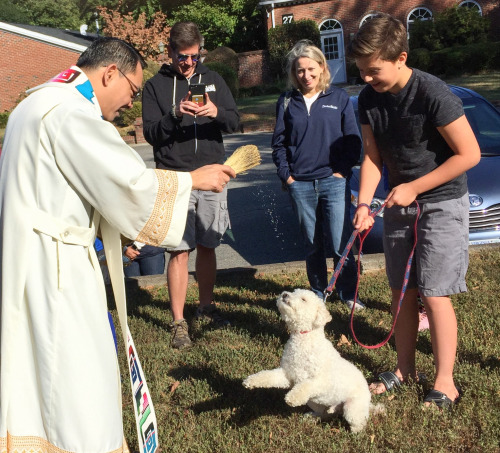 kaelio:reminder that during the Feast of St. Francis of Assisi, Oct 4, Catholics can bring their pet