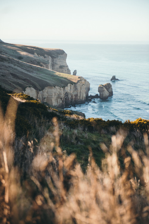 teapalm - (Tasha Marie) | Tunnel Beach, New Zealandwebsite |...