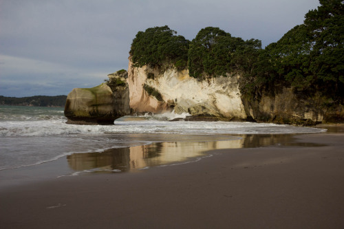 Coromandel Peninsula, New Zealand.