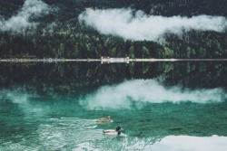 dpcphotography:Eibsee Reflections