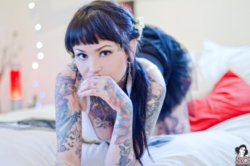 panda-face-mew:Krito SG