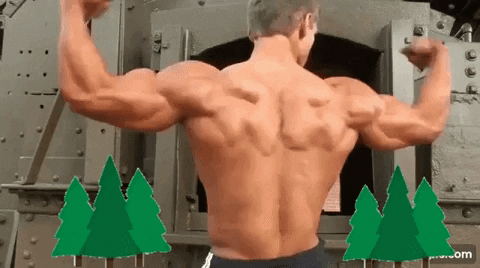 welcometomuscleville:Young Cody’s got that Xmas tree going… Cody Montgomery