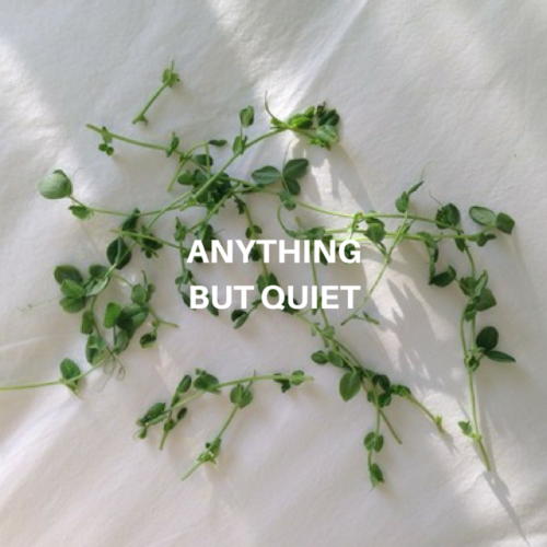 theqillers:troye sivan - the quiet