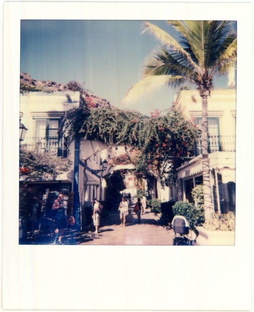 Mogn, 2016 #polaroid #impossibleproject #colors #landscape #canary #canaryislands Https://www.instagram.com/p/B1BDQQ0lXtC/?igshid=1u7smpg495fea