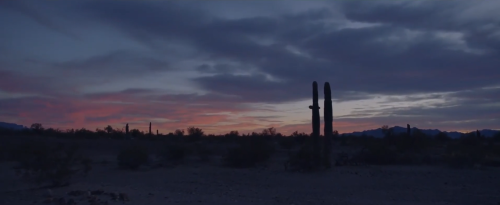 Nomadland (2020) Directed by Chloé Zhao