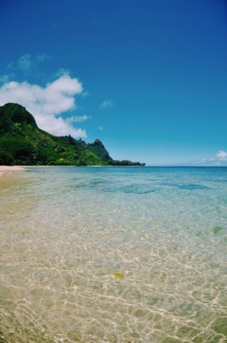 sassafranski:  missin’ this place