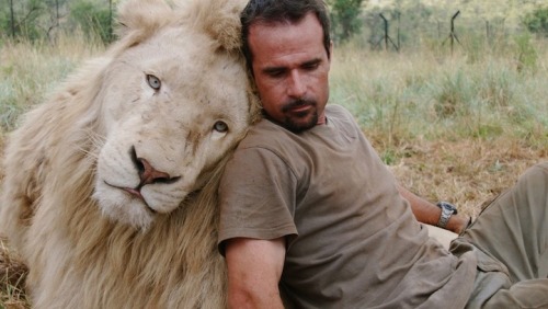 samaralex: Kevin Richardson, The Lion Whisperer