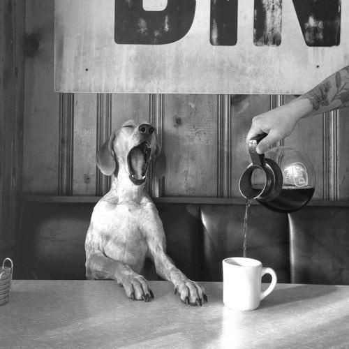scarlets-musings:Good morning world ☕️