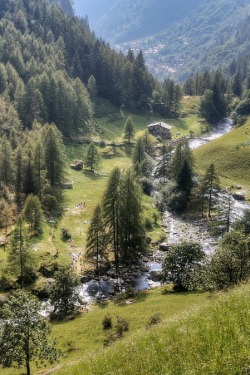 sublim-ature:  Pagliari, ItalyFabrizio Daminelli