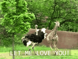 meme-rage:  Does This Remind You of Your Relationships?http://meme-rage.tumblr.com