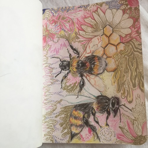 xeptum:Bees in Wonderland