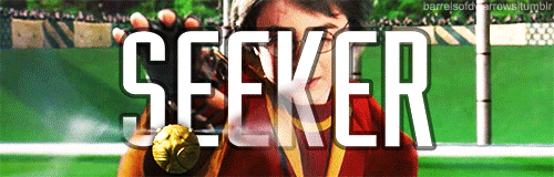 barrelsofdwarrows:  &ldquo;Right,&rdquo; said Wood. &ldquo;Now, Quidditch