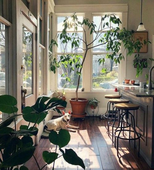 interior-design-home: Bar stools in kitchen