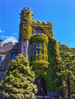 allthingseurope:    Hornby Castle, UK (by