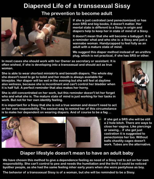 chasfemdom:FAQ on the Sissy Adoption Homepage. Look also the post before and you get more informatio