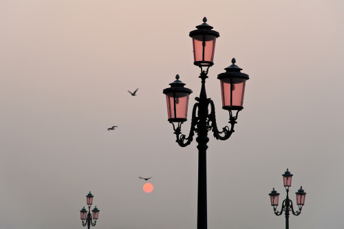 bruisedandleftbehind: early morning mist in Venice -© Carsten Heyer