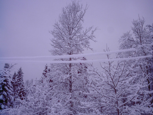 cheekyskunk:This morning we woke up inside a snow globe!