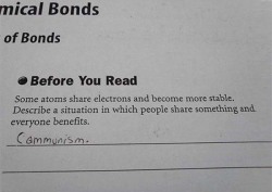 Fantastic School Test Answers!