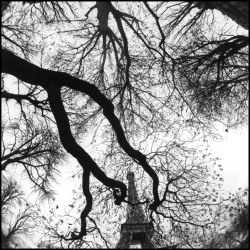 blackpicture:Bruce Davidson Eiffel Tower. 7th arrondissement. Paris. France (2006)