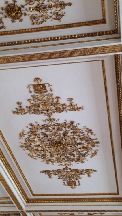 ssomebackgrounds:I was in the Hermitage museum yesterday and ceilings there were kind of pretty
